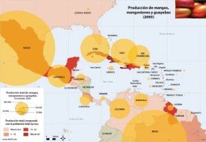 11-12E-6_Agri-mangue_ES